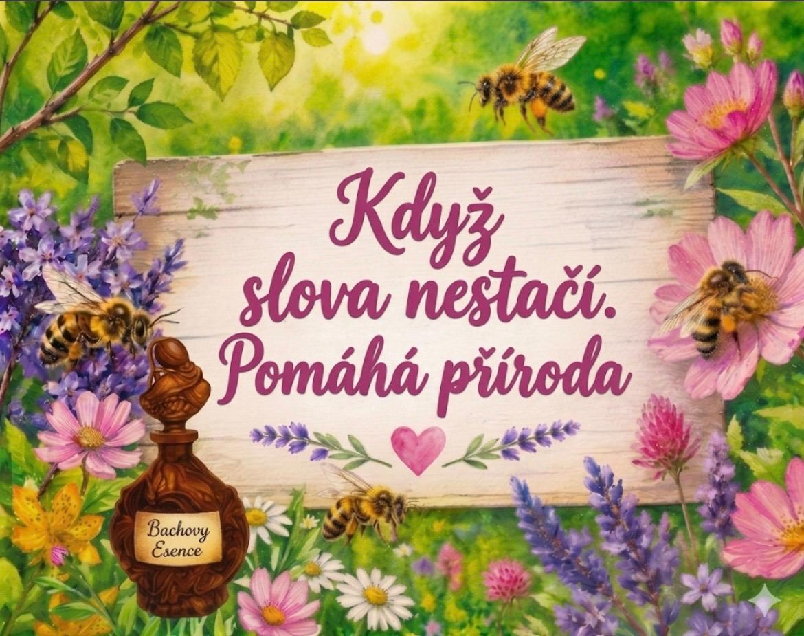 Gastronomický zážitek